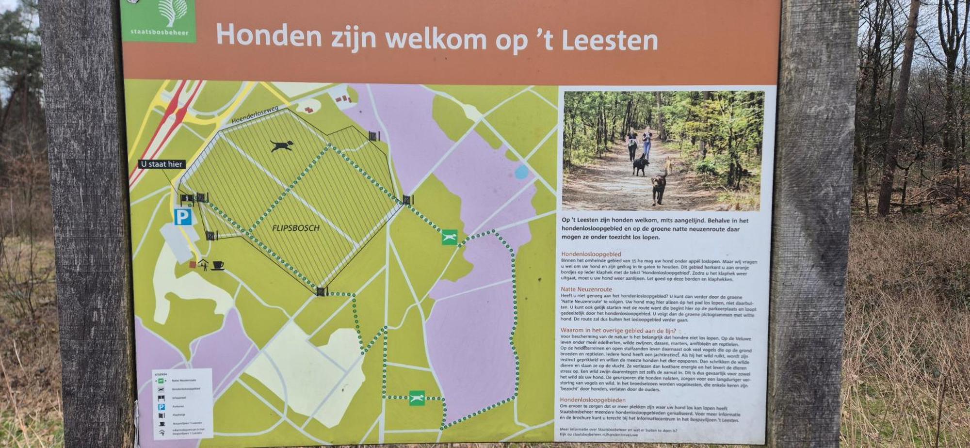 Het Veluwse Boshuisje Knus Chalet Met Omheinde Tuin Op De Veluwe Hoenderloo Luaran gambar